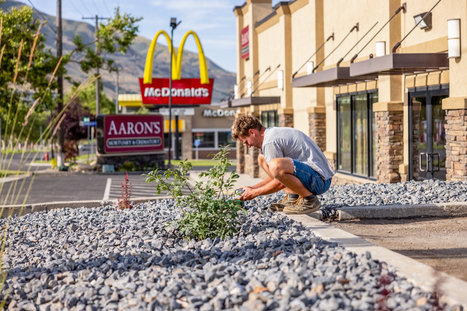 Commercial rock landscaping installation