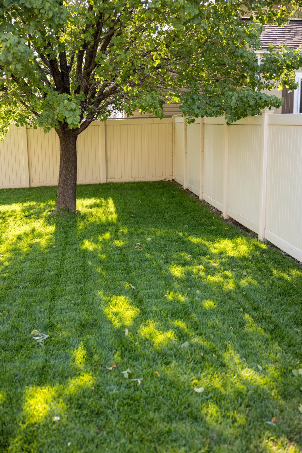 Healthy, well-irrigated lawn